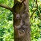 Ornativity Tree Face Bird Feeder - Old Man Funny Faces Outdoor Decorative Birdfeeder with Glow in the Dark Eyes for Spooky Garden Décor